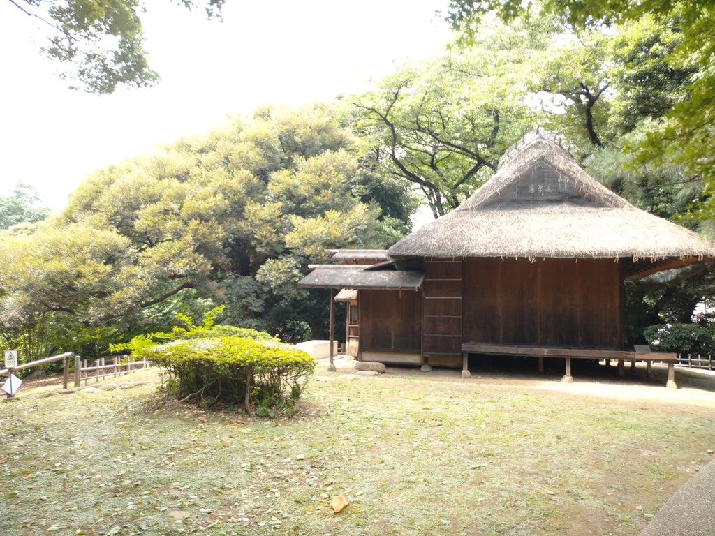 月に一度のZEN呼吸法workshop 狩野派の床の間を見ながら坐る呼吸