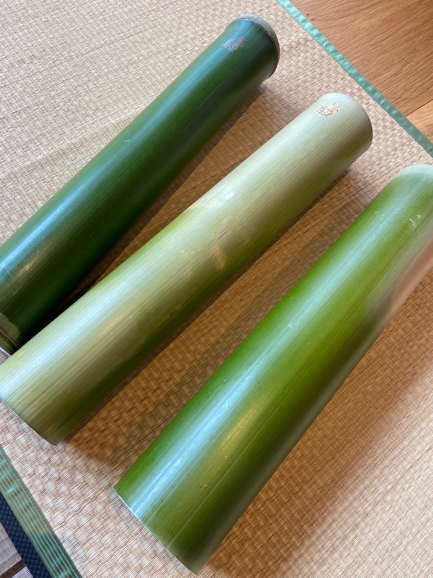 のる竹　LMS 3種類セット